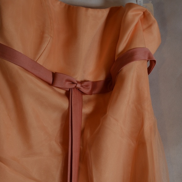 Alfred Angelo SZ 14 Organza-type Lined Strapless Dress - Picture 5 of 13